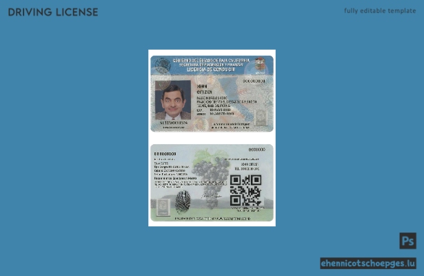 Beispiel für einen mexikanischen Führerschein aus Baja California